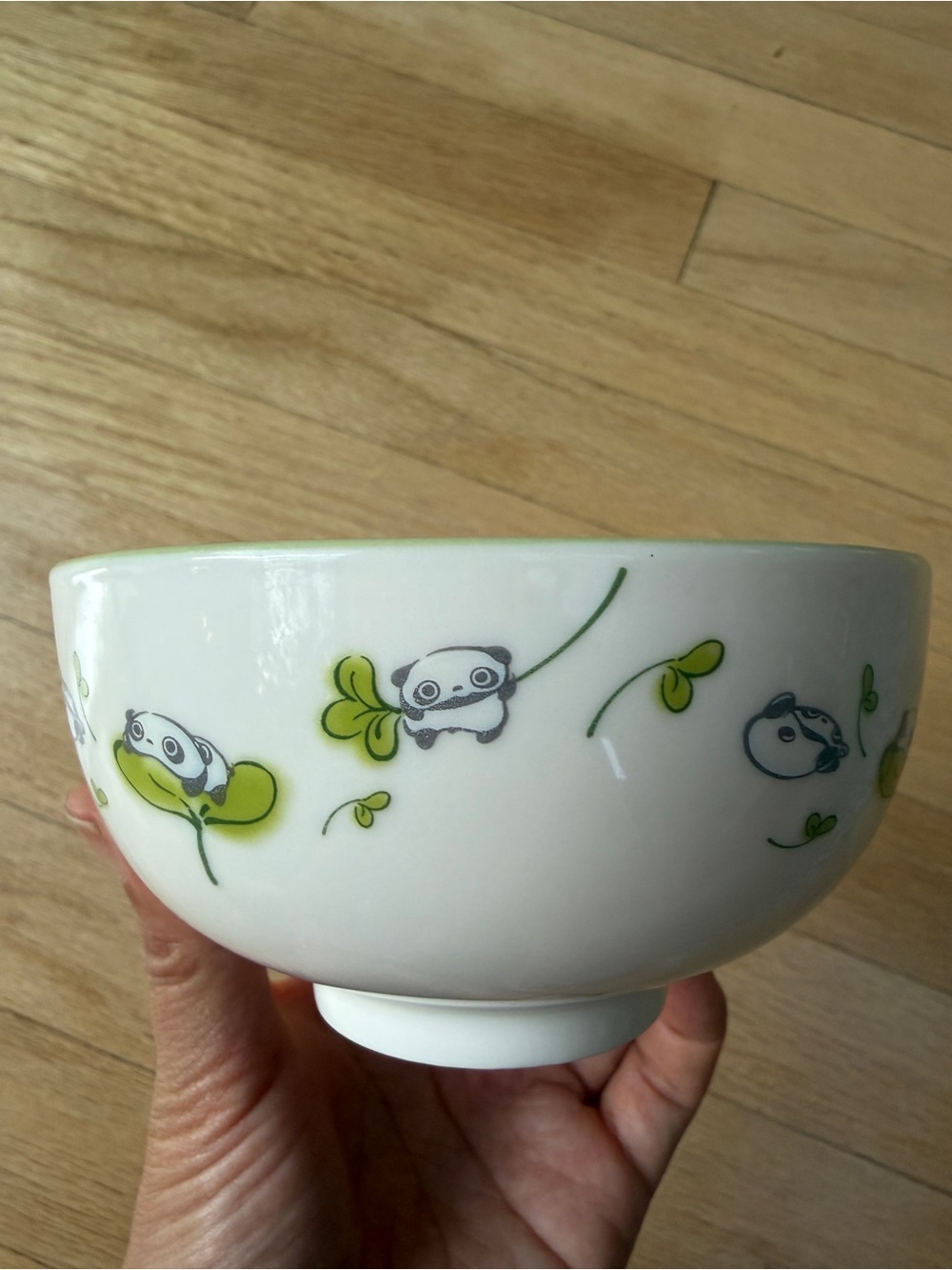Sanrio tarepanda cute bowl green leaves
